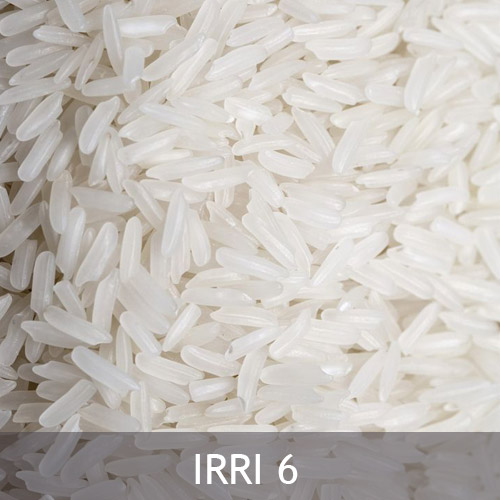 We grow fresh, organic produce using clean methods that protect nature, healthy food.