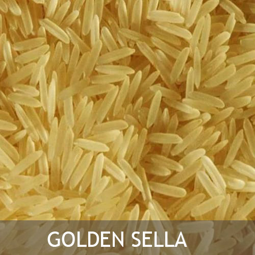 We grow fresh, organic produce using clean methods that protect nature, healthy food.