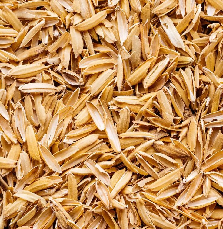 We grow fresh, organic produce using clean methods that protect nature, healthy food.