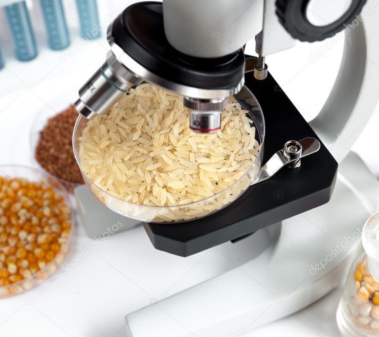 We grow fresh, organic produce using clean methods that protect nature, healthy food.